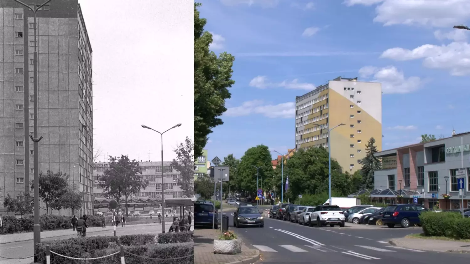 Lubin 1975 - 2025