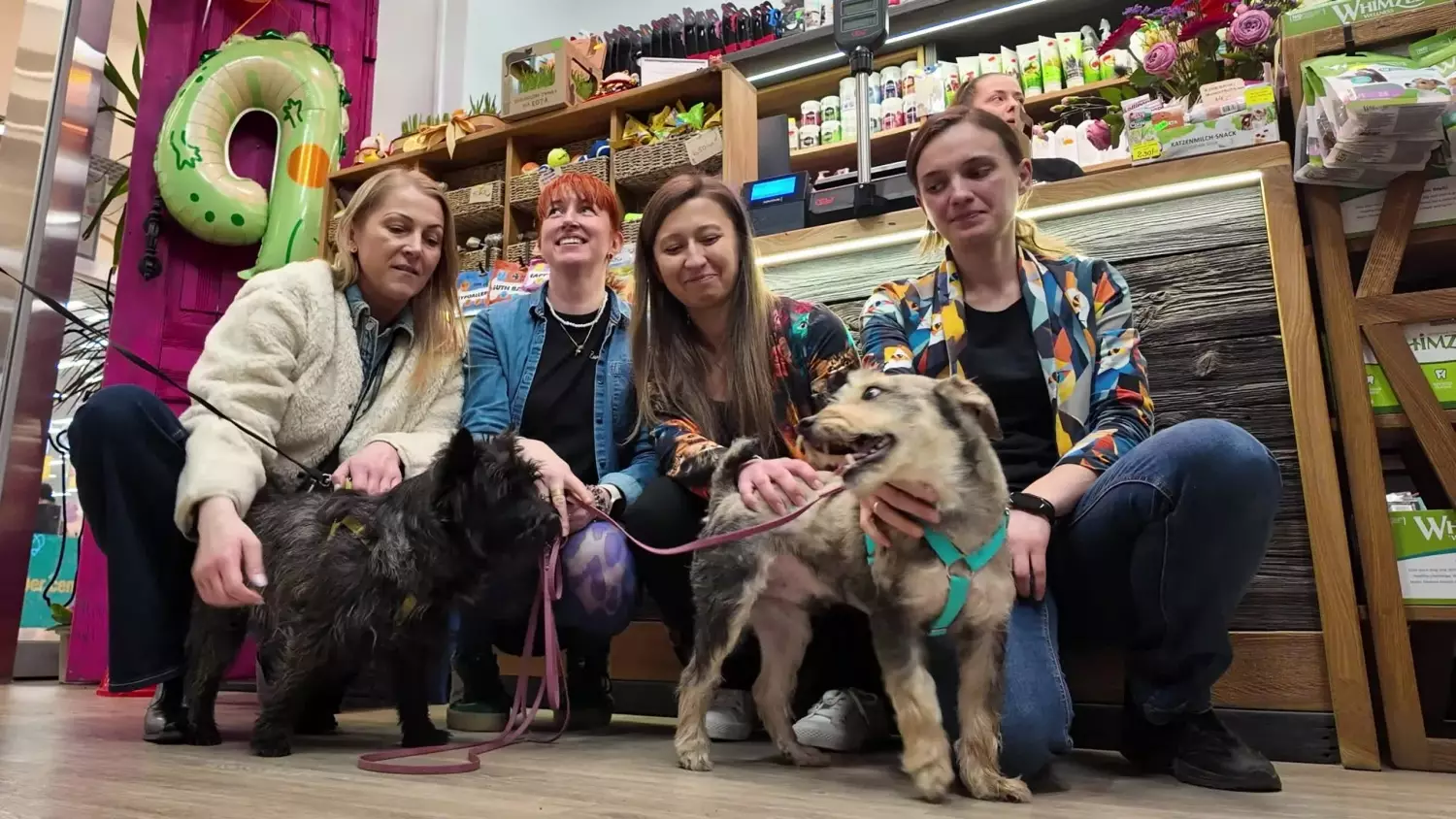 4. urodziny Zwierzogrodu